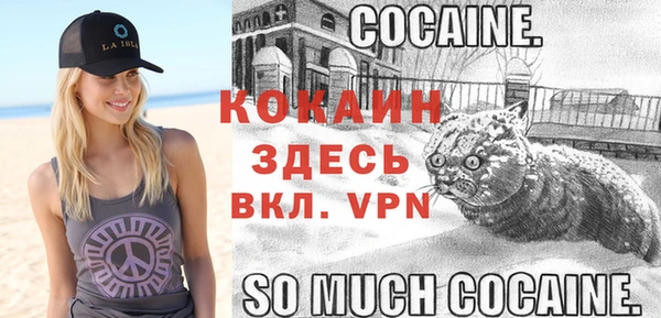 первитин Ладушкин