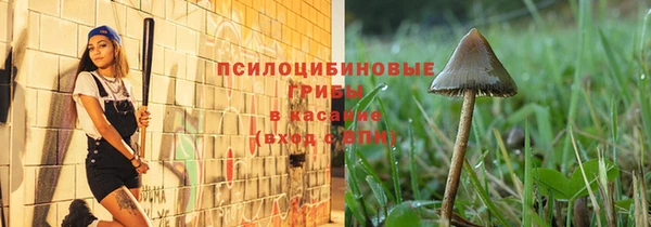 прущие грибы Куйбышев